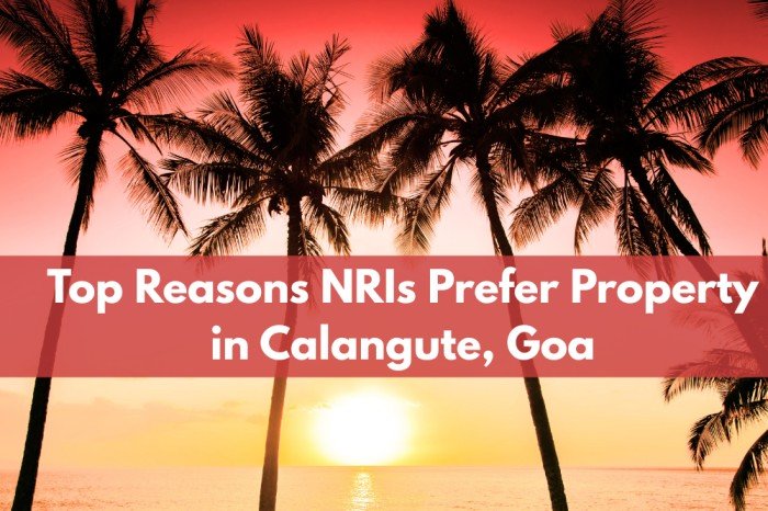 Top Reasons NRIs Prefer Property in Calangute, Goa